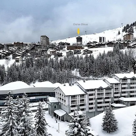 Ourse Bleue Avec Vue Sur La Montagne *